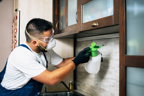 Best Affordable Pest Control Services  in Brentwood, TN
