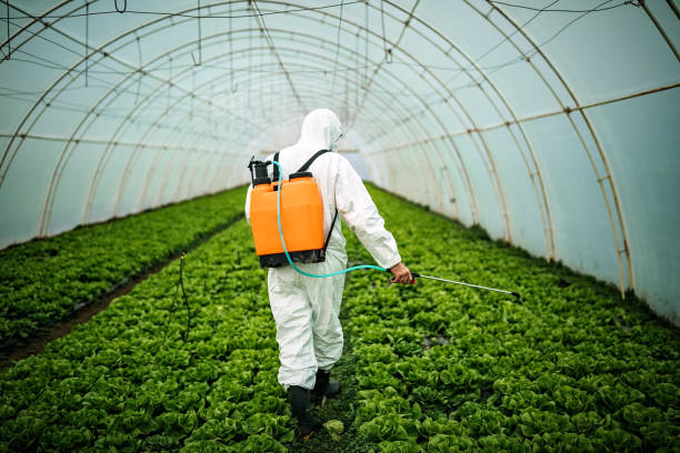 Best Local Pest Control Services  in Brentwood, TN