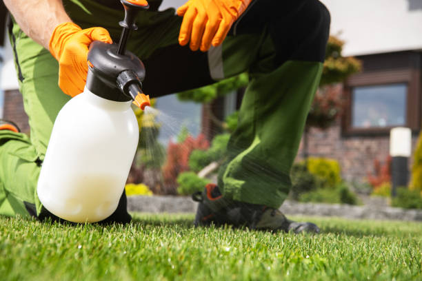 Best Pest Control Near Me in Brentwood, TN