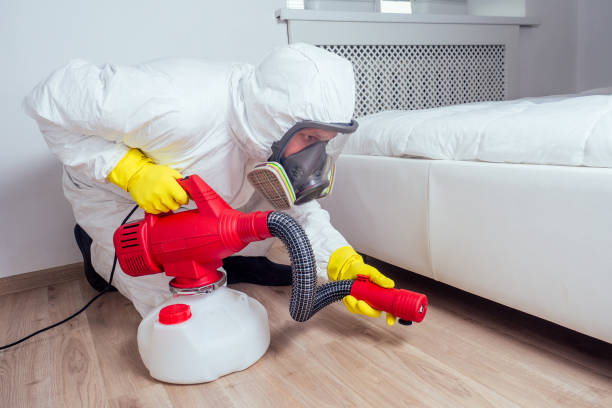 Best Termite Control Services  in Brentwood, TN