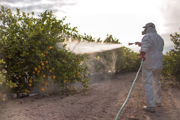 Best Mosquito Control Services  in Brentwood, TN