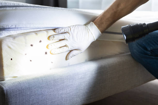 Professional Pest Control in Brentwood, TN