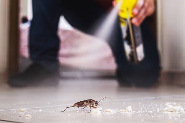 Best Best Pest Control Companies  in Brentwood, TN